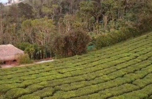 Elappara Villa | The Hidden Peaks - Mud house cottage