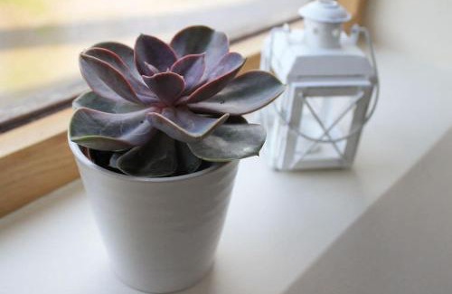 Atherington Apartment | The Hide at Lemons Farm