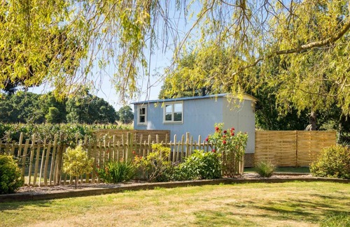 Whitestone Apartment | The Hideaway Hut - 1 Bed Shepherds Hut - Dodmarsh