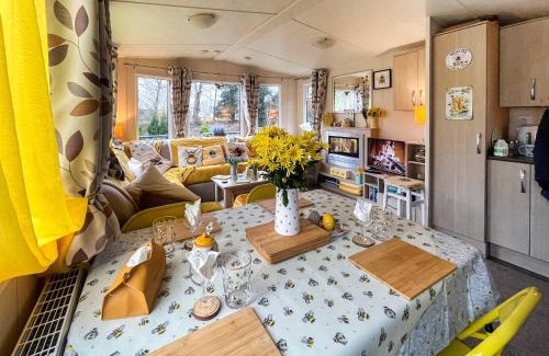 Hawick House | The Hive