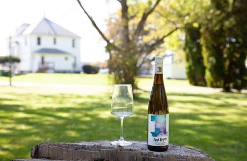 Geneva House | The Homestead Historic Charm & Big Backyard