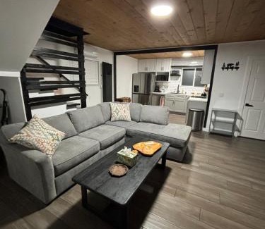 Green Valley Lake Ski Chalet | The Honey Bear Cabin Jacuzzi EV Friendly Renovated