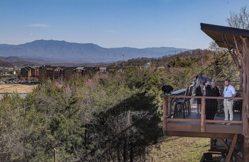 Sevierville Cabin | 🐝The Honey Hole Luxury Treehouse In The Smokies🍯