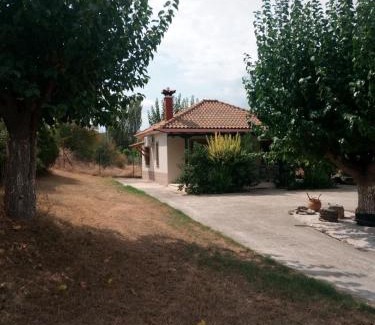 Metagkitsi House | The House in the Mulberries Trees