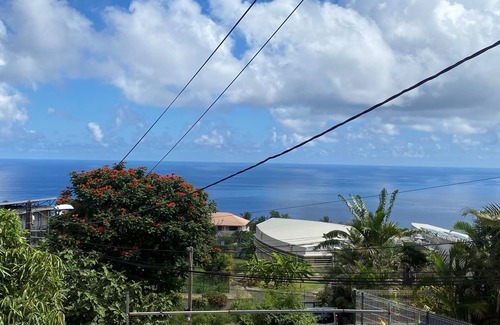 Piton Saint-Leu House | The House of happiness