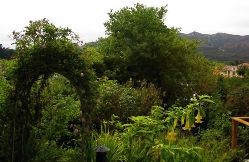 Ventura Cottage | The Hummingbird Cottage, Treehouse & Garden - Ocean & Mountain Views