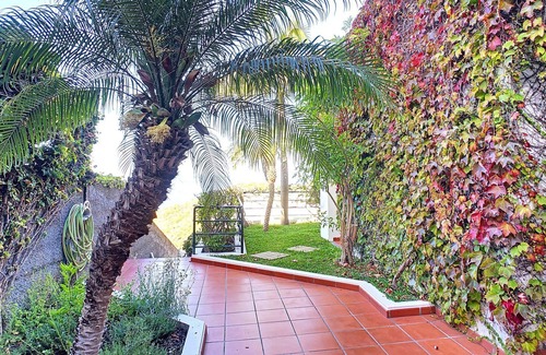 Madeira Island House | The Jasmin House - Three Bedroom House, Sleeps 6
