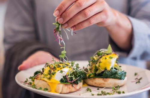 Plettenberg Bay Hotel | The Junction Boutique Hotel