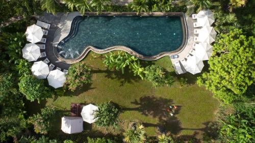 Siem Reap Hotel | The Jungle