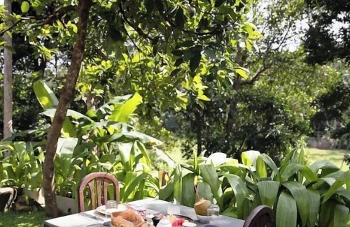 Cheena Kotuwa Cabin | The jungle Loft- Galle