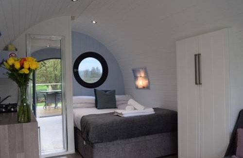 Llandovery Other | The Kingfishers Burrow