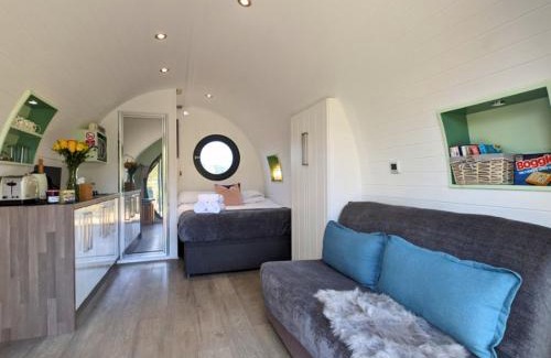 Llandovery Other | The Kingfishers Burrow