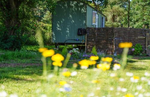 Upper Hulme Cabin | The Laburnum Retreat Shepherd Hut private hot Tub