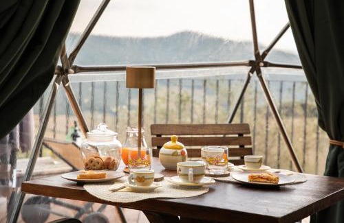 Volterra Other | The Land Before Time - Quad & Saddle Retreats