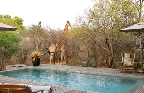 Hoedspruit Villa | The Lazy Leopard Lodge