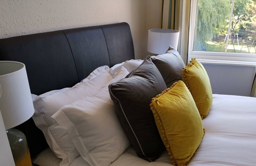 New Forest District Hotel | The Lazy Lion