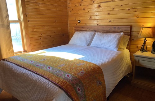 Lake City Cabin | The Lily Cabin with Mountain Views