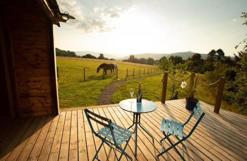 Abergavenny Apartment | The Lily Pod