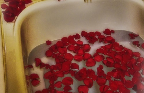 Historic Montford Bed & Breakfast | The Lion and the Rose B&B