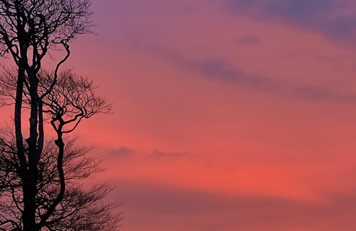 Bideford House | The Little Beeches. North Devon - best of coast and country