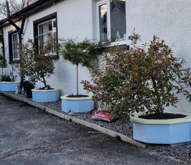 Inverness Ski Chalet | The little garden hoose