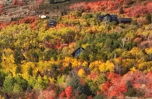 Garden City House | The Maple Retreat