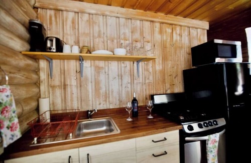 Lake City Cabin | The Marigold Cabin with Mountain Views