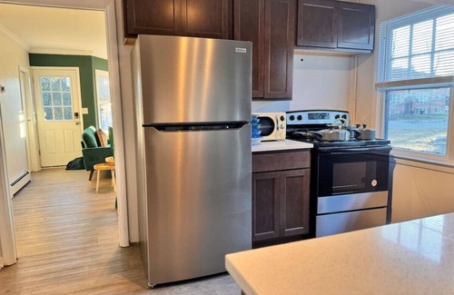 Ann Arbor House | The Michigan Green Suite near the BIG HOUSE