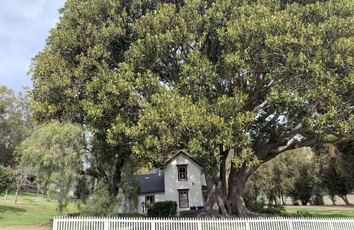 Cayucos Cottage | 'The Milk House' on a private Harmony ranch