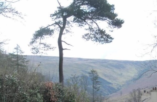 Llanybydder Cottage | The Mill House at Cwmiar Farm - relaxing holidays