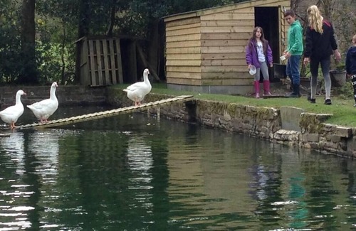 Llanybydder Cottage | The Mill House at Cwmiar Farm - relaxing holidays