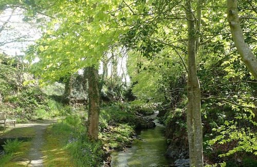 Machynlleth House | THE MILLPOND CARAVAN, family friendly, with a garden in Machynlleth