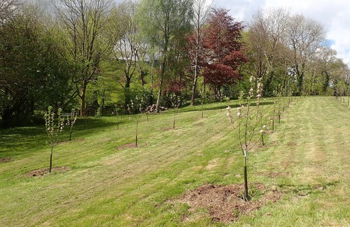 Machynlleth House | THE MILLPOND CARAVAN, family friendly, with a garden in Machynlleth