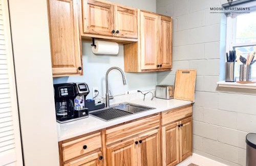 Downtown Memphis Apartment | The Moose #12 - Brand New Modern Luxe Loft with Free Parking, King Bed & Fast WiFi