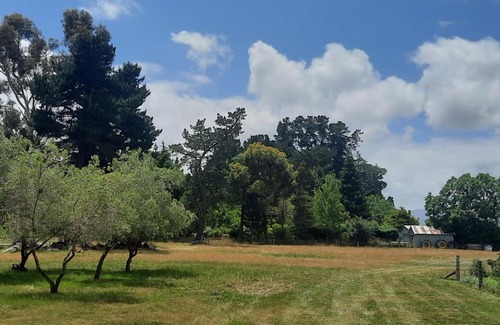 Waiau Hotel | The Morgans