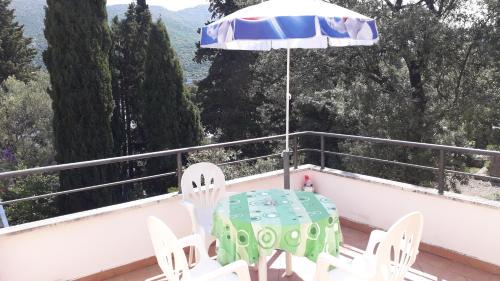 Zaton Apartment | The most beautiful position in Zaton Veliki
