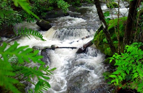 Otto Cabin | The Mountains are Calling! Visit Cherry Bluff | Turnstone Log Cabins