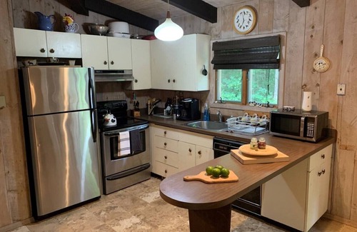 Stratton and Bromley Ski Areas House | The Mushroom House of Manchester Vermont