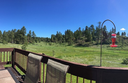 Pagosa Highlands House | The National Forest is your backyard!