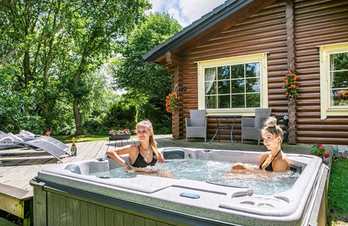 Bingley Cabin | The Nest - 5 Star - Pet Friendly - Hot Tub - Scandinavian Log Cabin