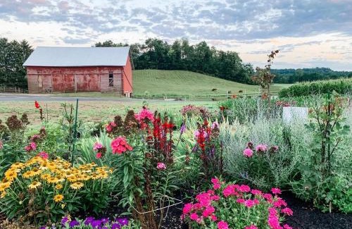 Shreve Other | The Nest at Hummingbird Hill - Glamp tent
