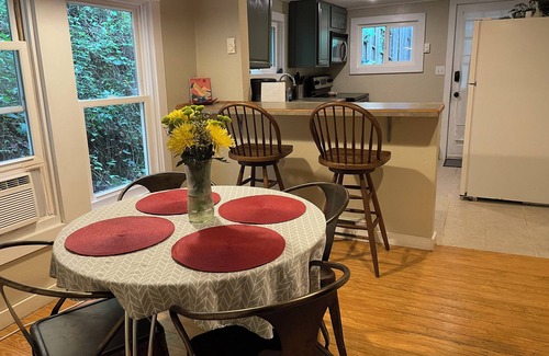 Marshall Cabin | The Nest: Cozy Cabin, Hot Tub, Walk to Downtown Marshall, NC.