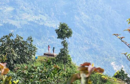 Kalimpong House | The Nest Farmhouse