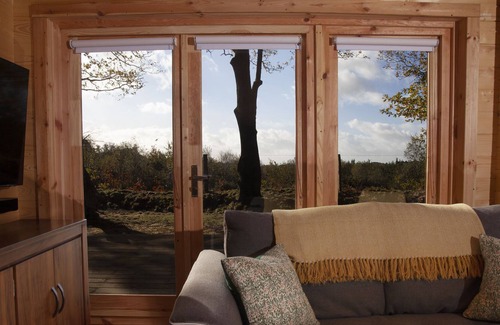 New Forest District Cabin | The New Forest Cabin in 12 acres of private woodland