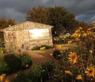 Colkirk Other | The Oaks Glamping - Jasper's Shepherds Hut