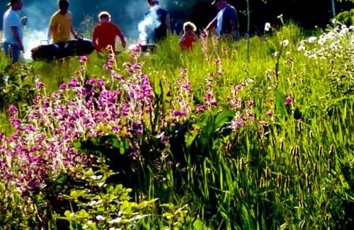 Colkirk Other | The Oaks Tent Pitches with no accommodation supplied and you must bring your own tent