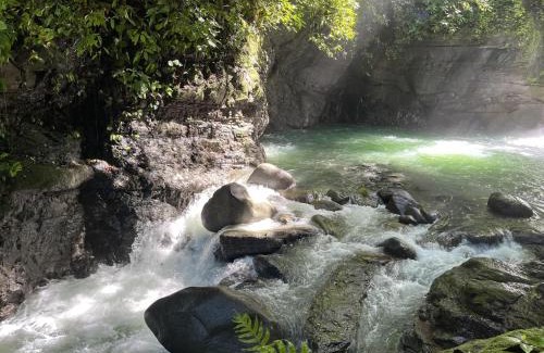 Dominical Hotel | The Oasis, Jungle Sanctuary