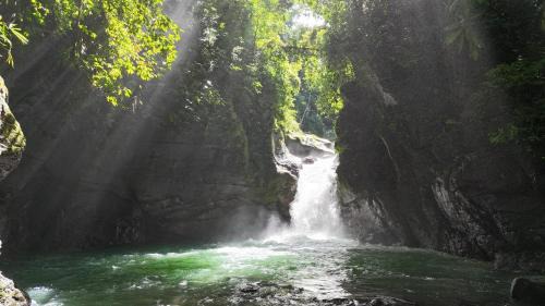Dominical Hotel | The Oasis, Jungle Sanctuary