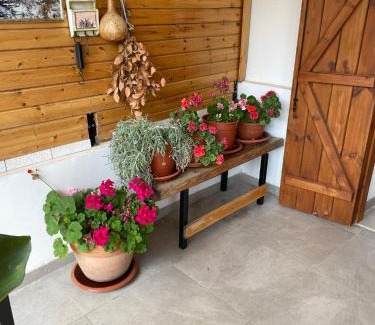 Kalopanayiotis House | The Old Coffeehouse