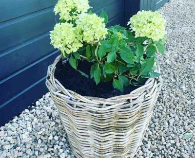 Low Catton House | The Old Potting Shed - 2 bed cottage with hot tub